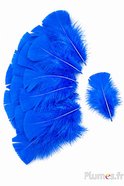 Tacchina - 6-8 cm - turchese